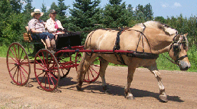 carriage photo