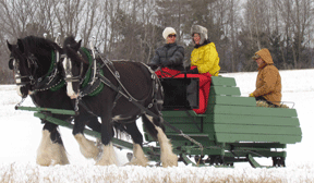 sleigh photo