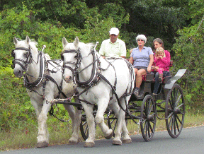 wagon photo