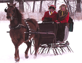 2010 Sleigh Festival