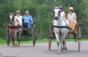 Single Horse Carts