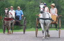 single horse carts