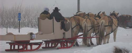 Fjord-4 horse hitch