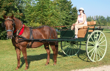 village cart