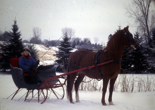 Janesville Cutter photo